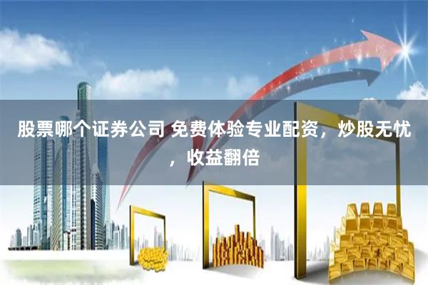 股票哪个证券公司 免费体验专业配资，炒股无忧，收益翻倍