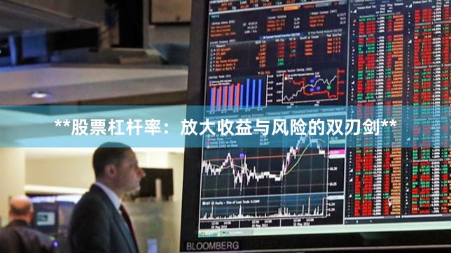 **股票杠杆率：放大收益与风险的双刃剑**