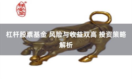 杠杆股票基金 风险与收益双高 投资策略解析
